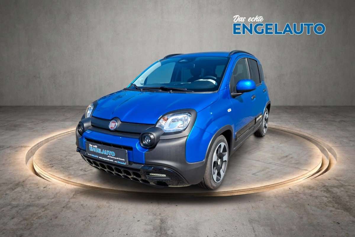 Fahrzeugbild eines Fiat Panda