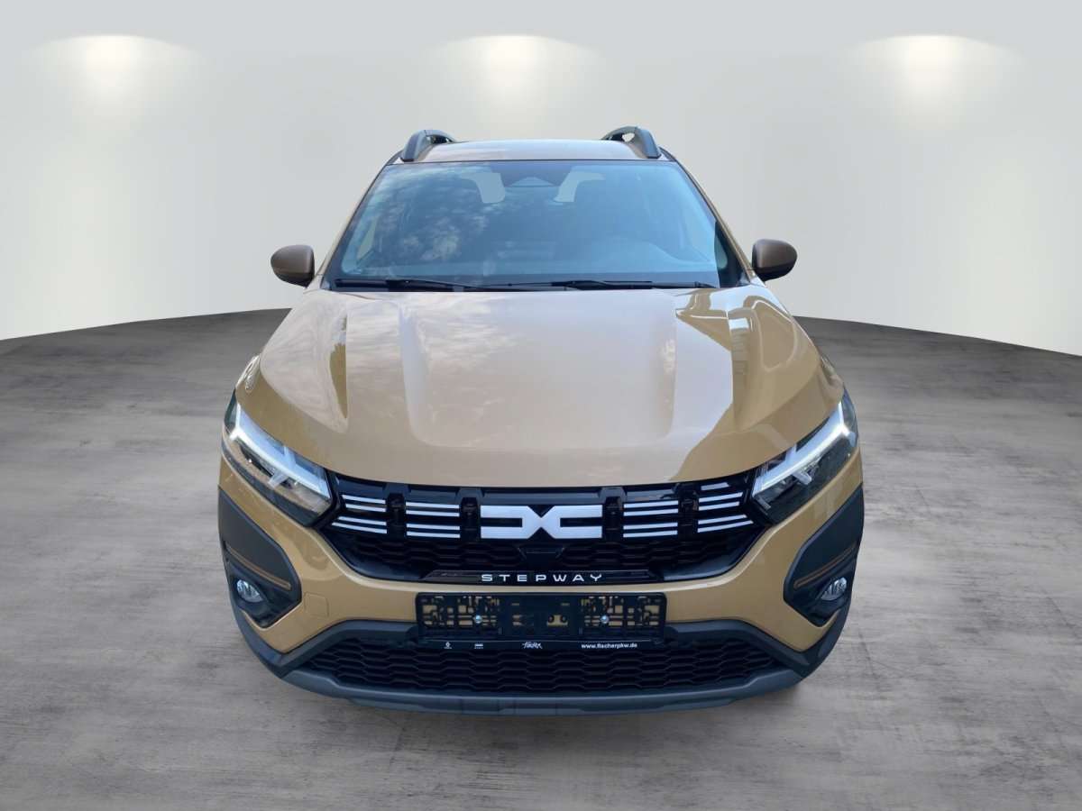 Fahrzeugbild eines Dacia Sandero