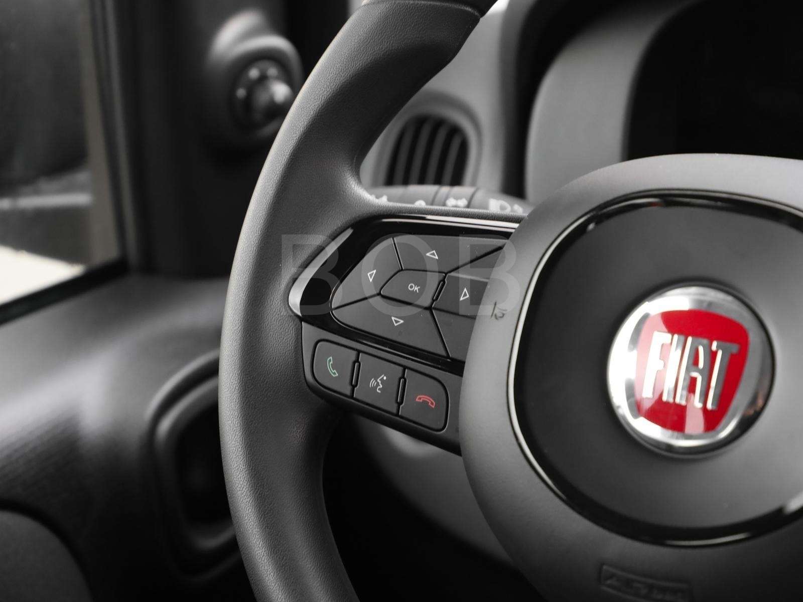 Fahrzeugbild eines Fiat Panda