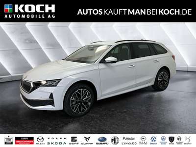 Bild Skoda Octavia