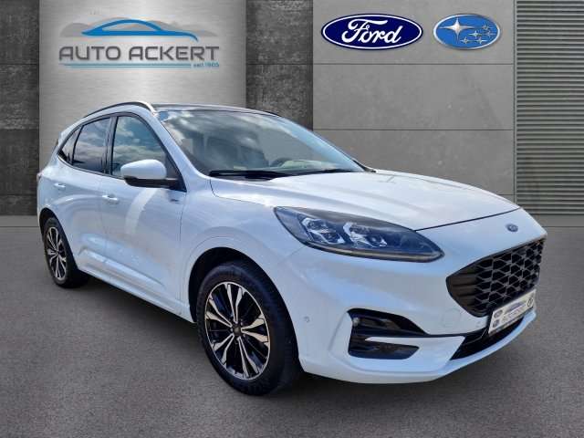 Fahrzeugbild eines Ford Kuga