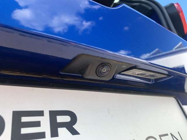 Fahrzeugbild eines Dacia Sandero