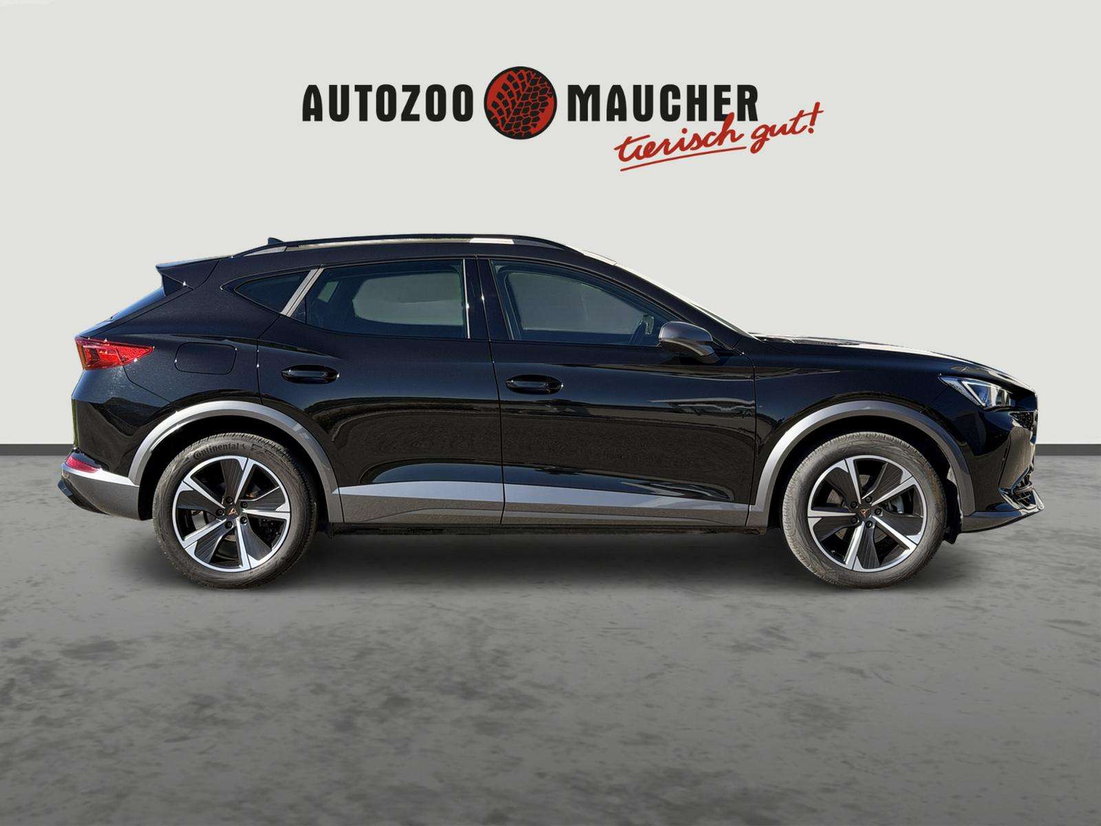 Fahrzeugbild eines CUPRA Formentor