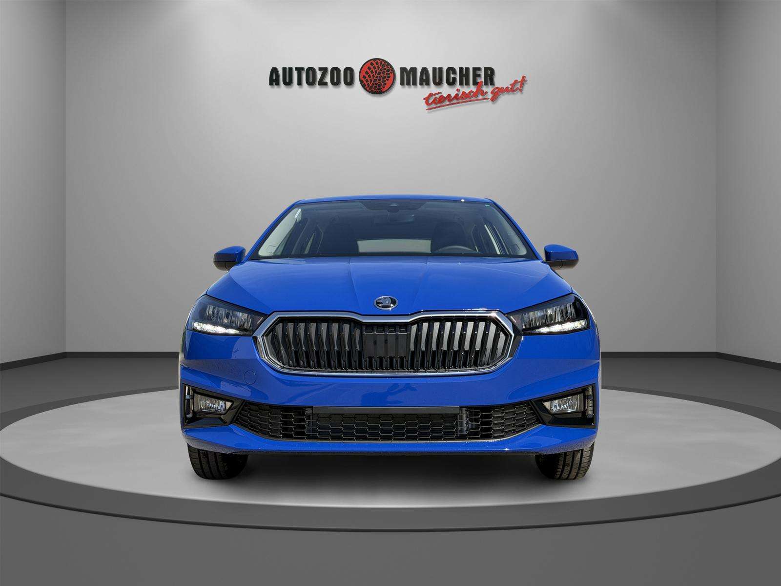 Fahrzeugbild eines Skoda Fabia