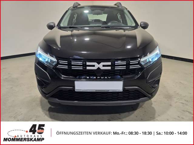 Fahrzeugbild eines Dacia Sandero