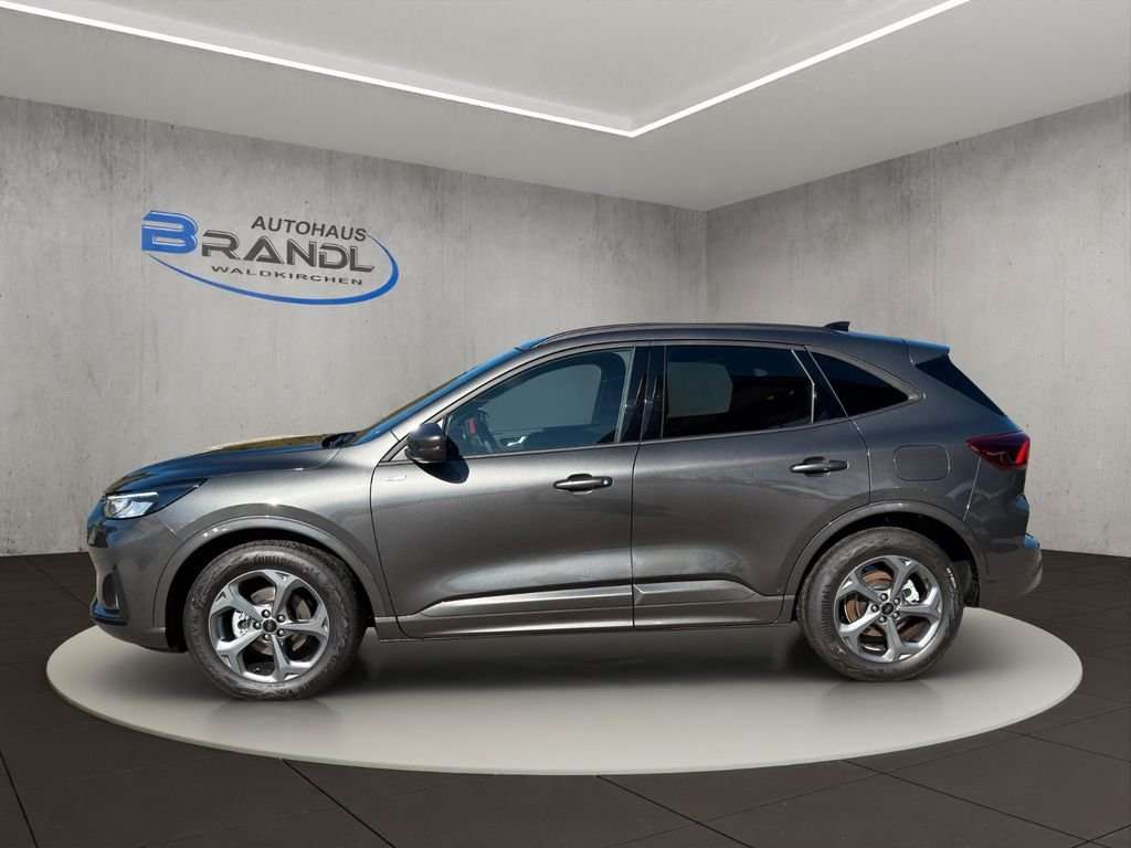 Fahrzeugbild eines Ford Kuga