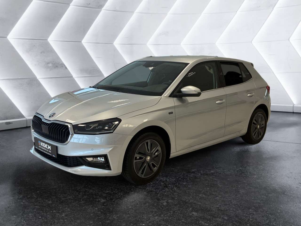 Fahrzeugbild eines Skoda Fabia