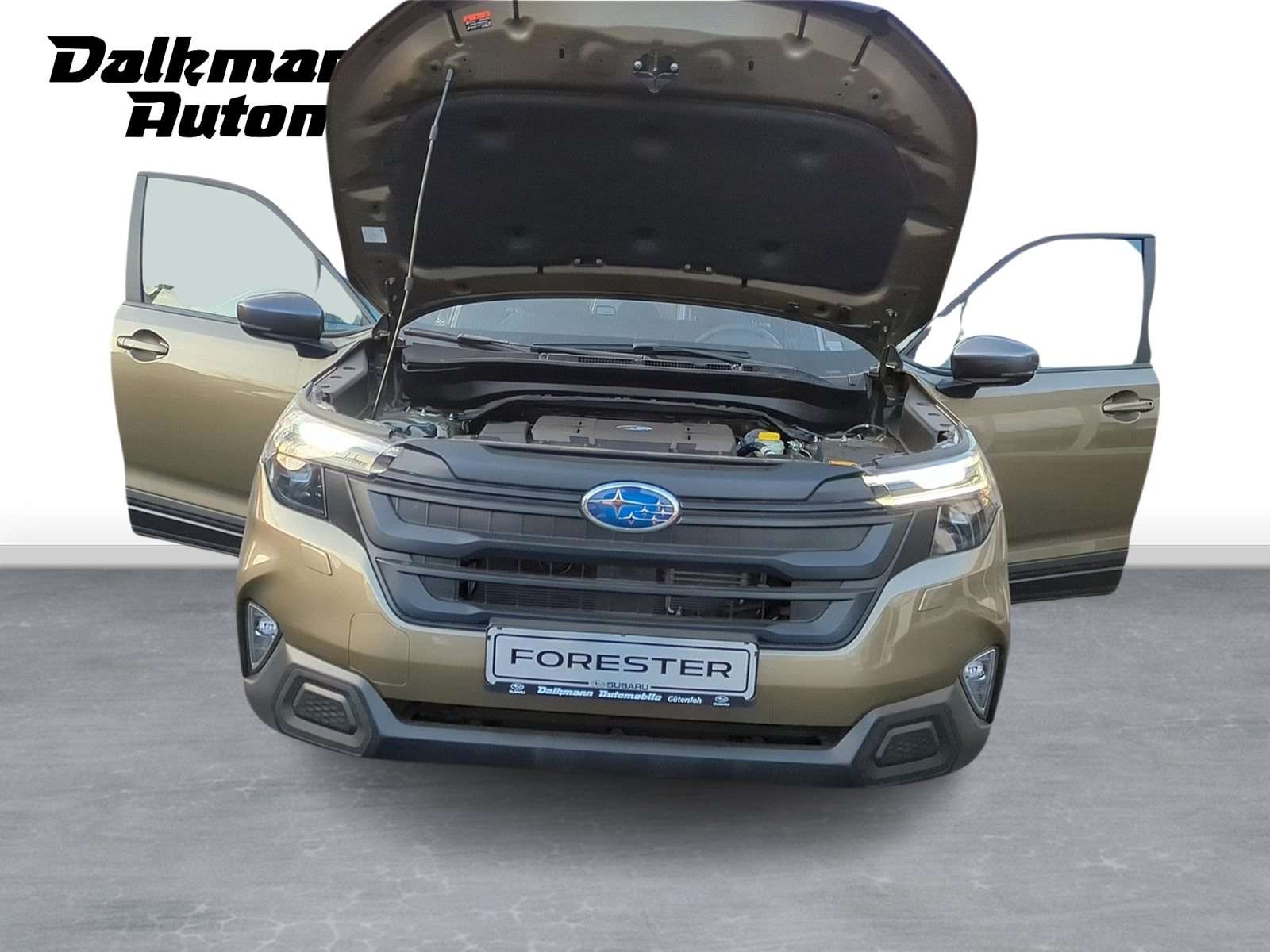 Fahrzeugbild eines Subaru Forester