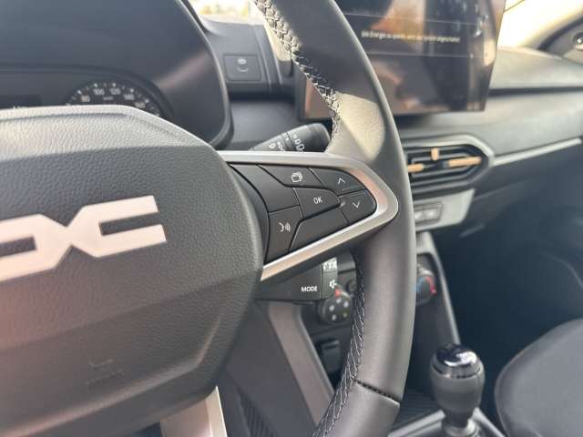Fahrzeugbild eines Dacia Sandero