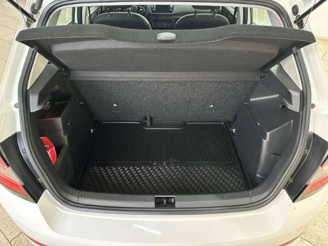 Fahrzeugbild eines Skoda Fabia