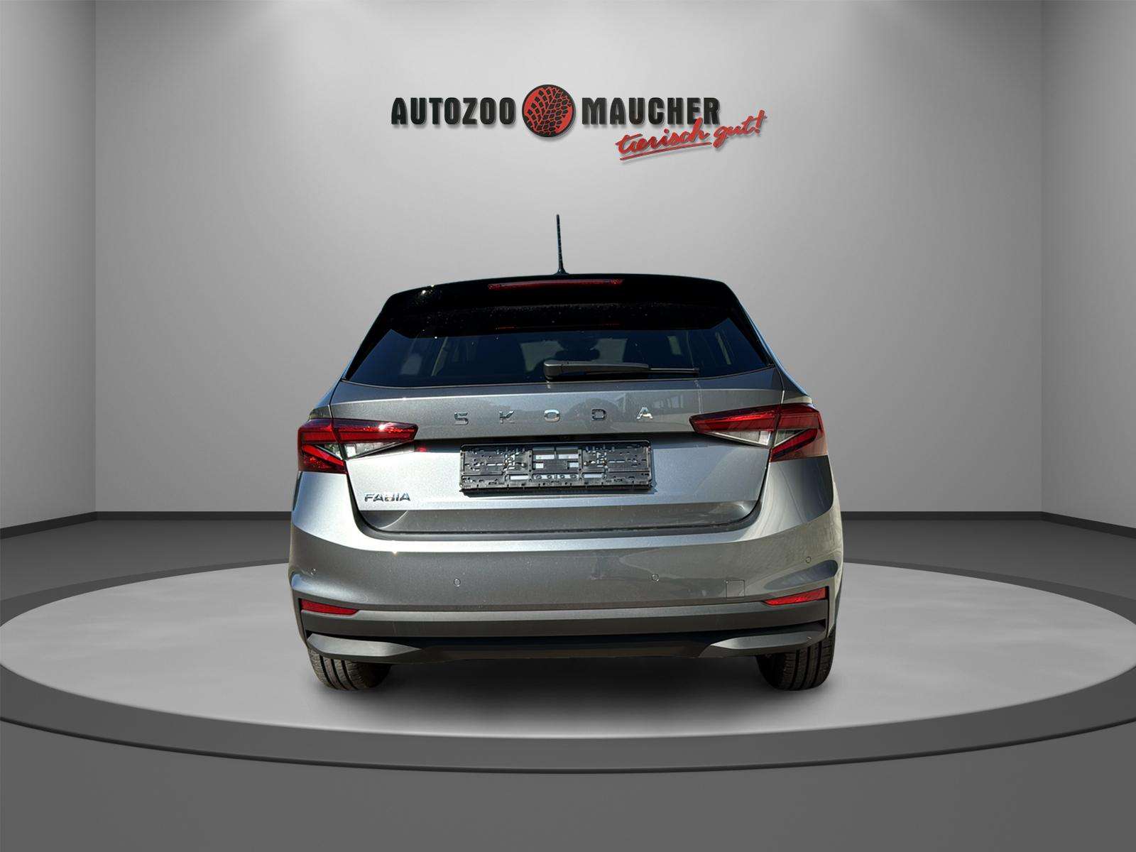 Fahrzeugbild eines Skoda Fabia