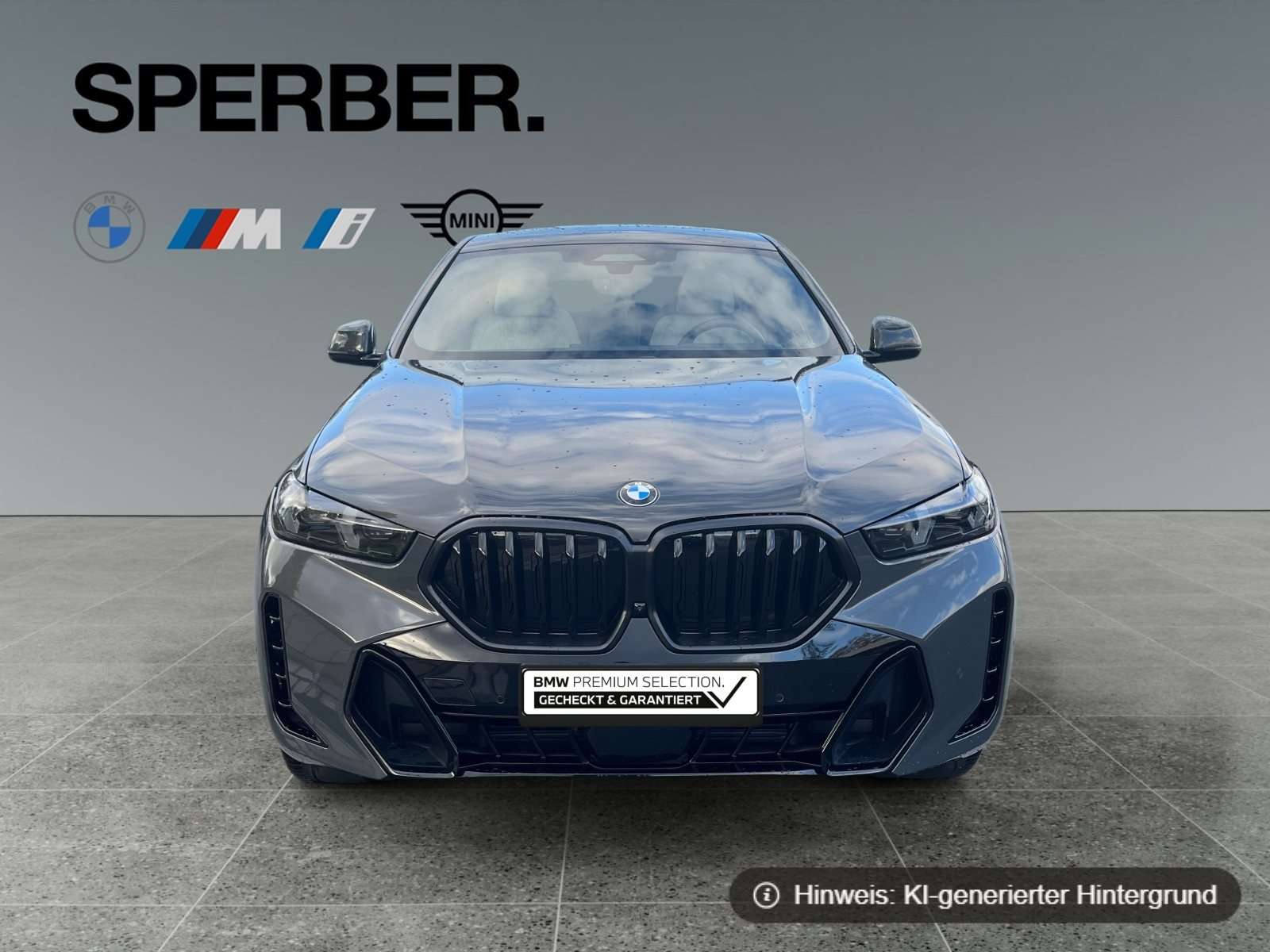 Fahrzeugbild eines BMW X6