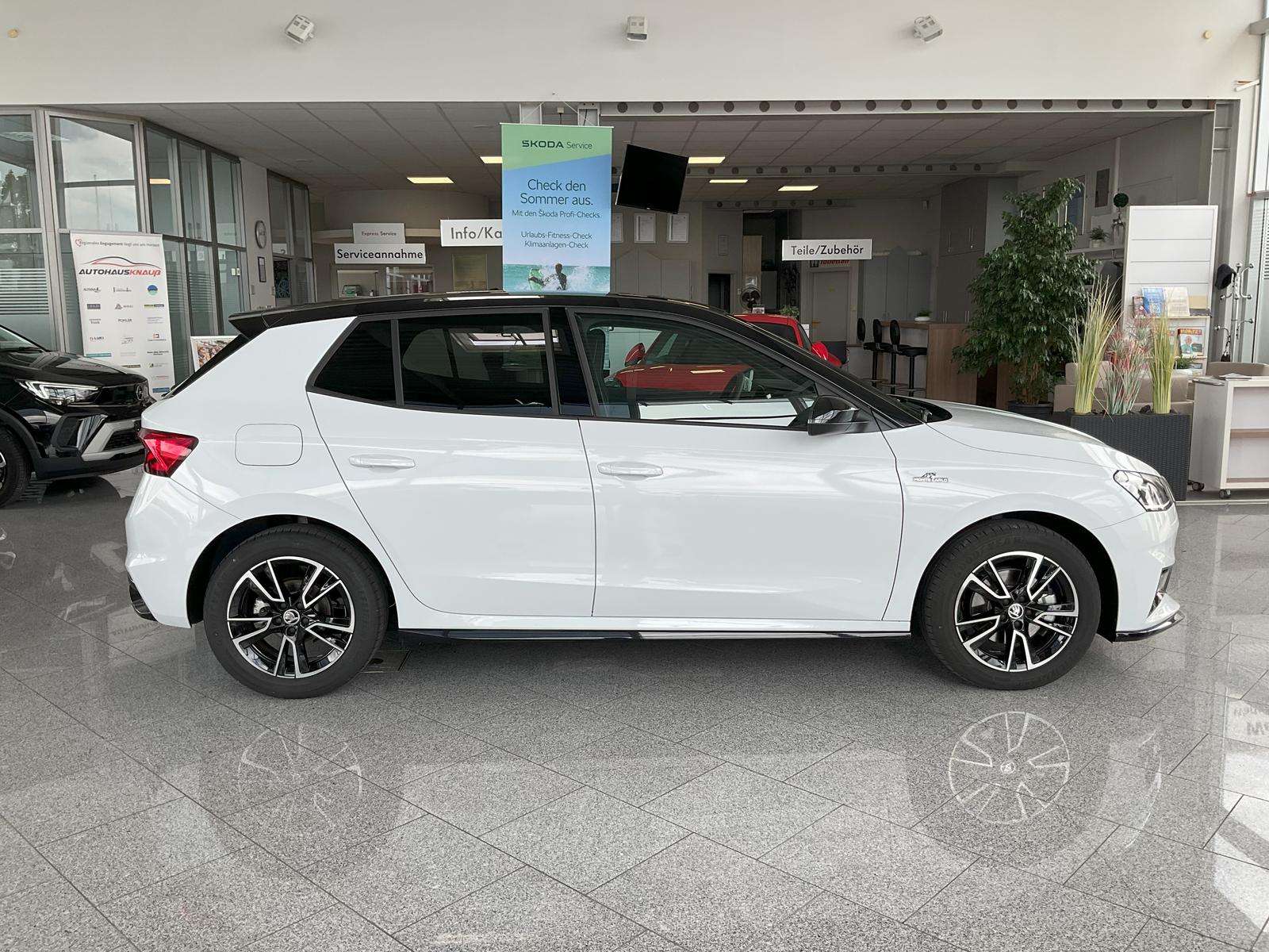 Fahrzeugbild eines Skoda Fabia