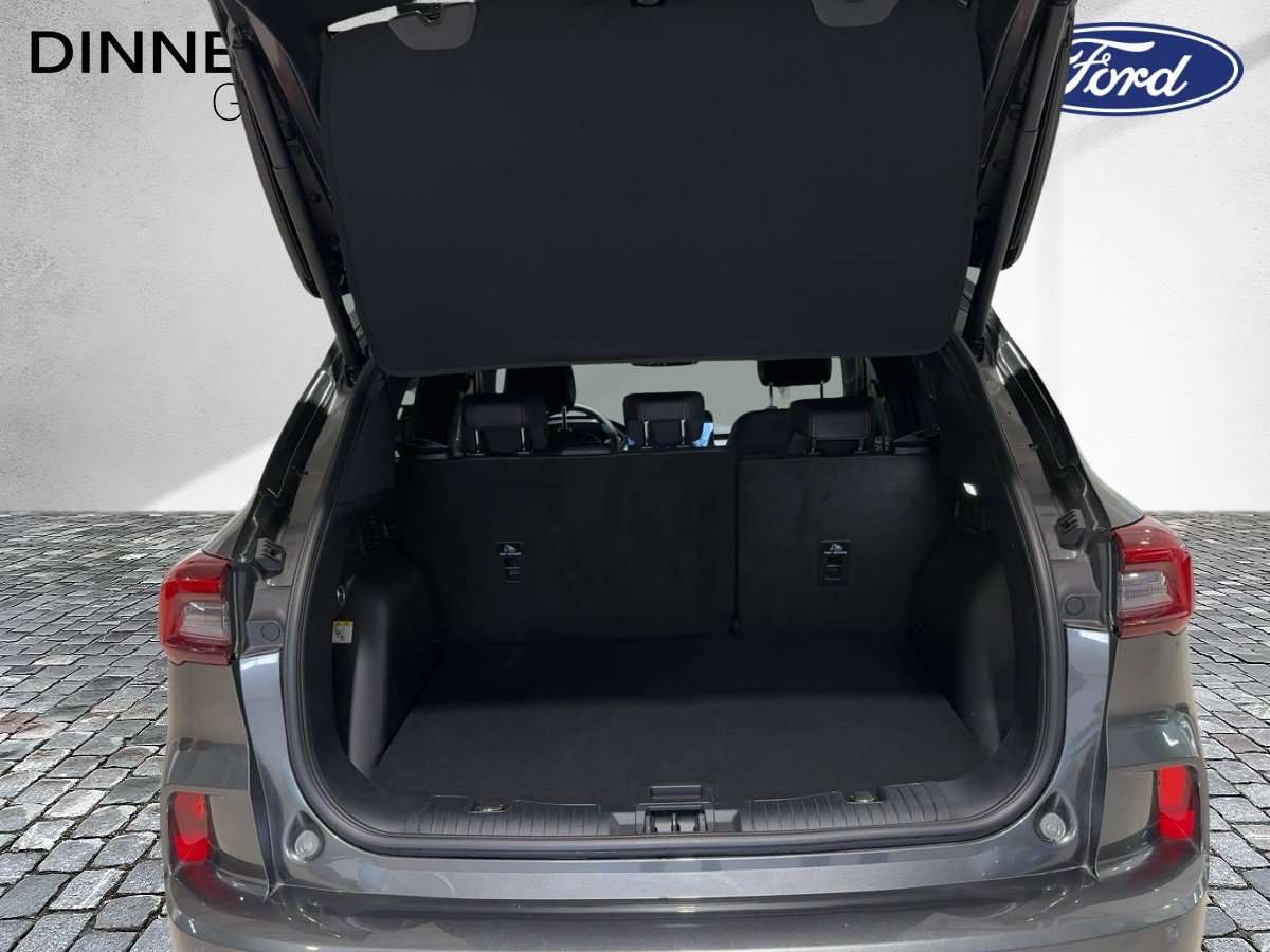 Fahrzeugbild eines Ford Kuga