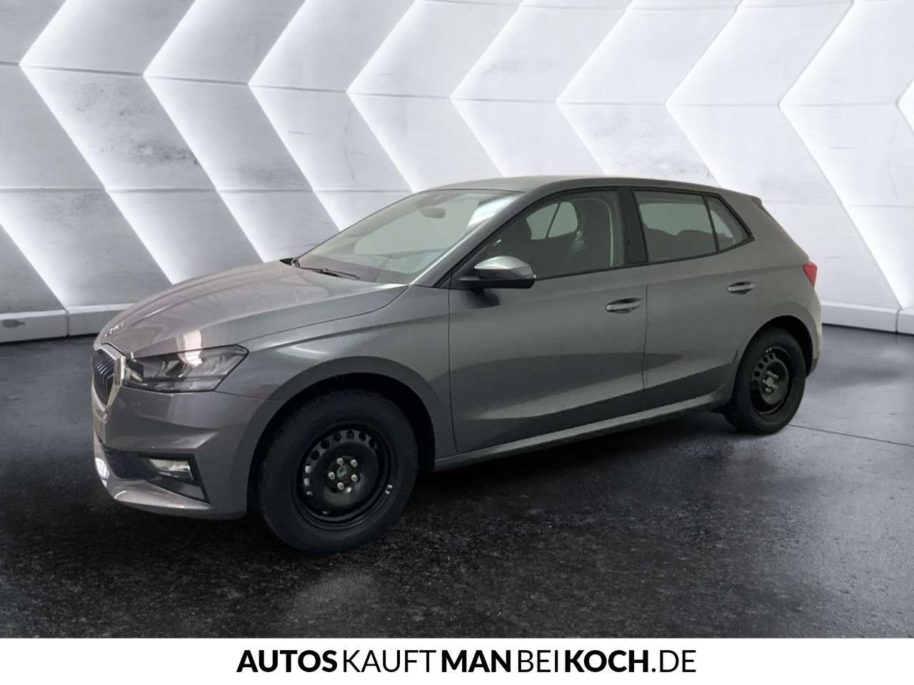 Fahrzeugbild eines Skoda Fabia