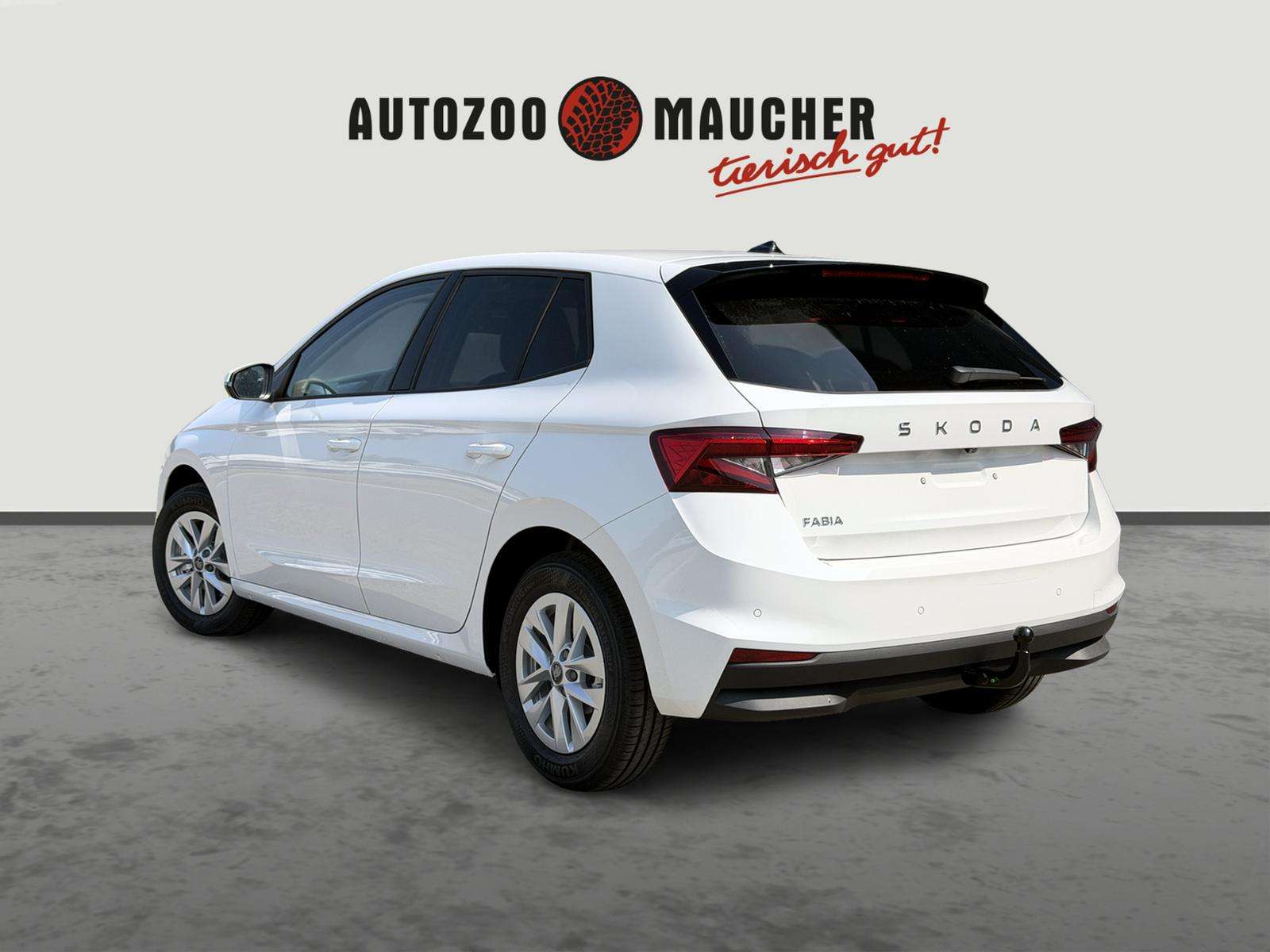 Fahrzeugbild eines Skoda Fabia