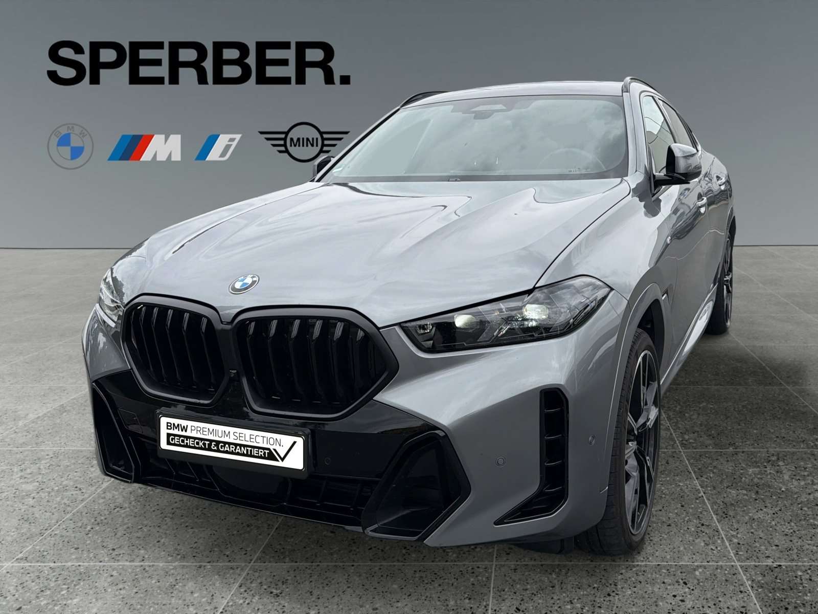 Fahrzeugbild eines BMW X6