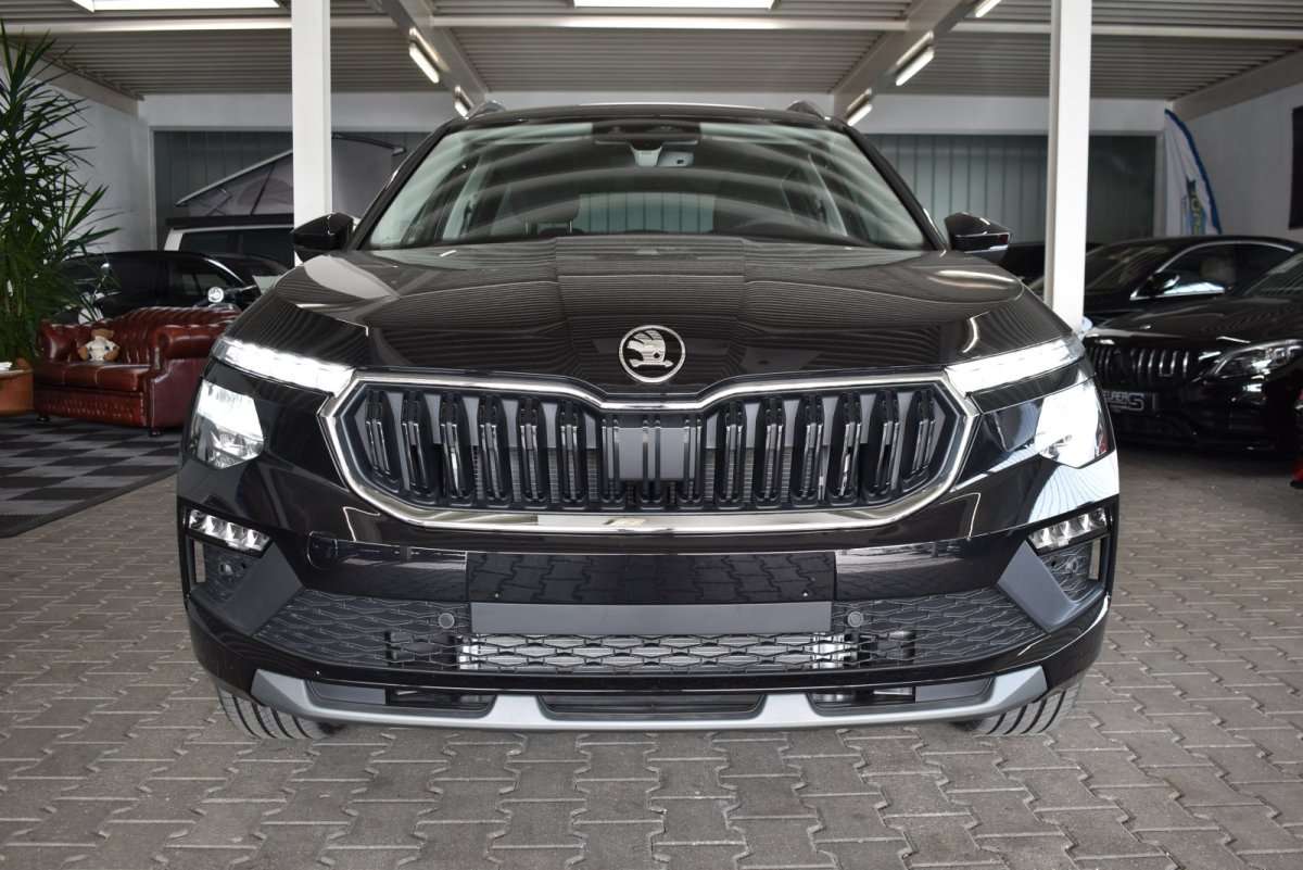 Fahrzeugbild eines Skoda Kamiq