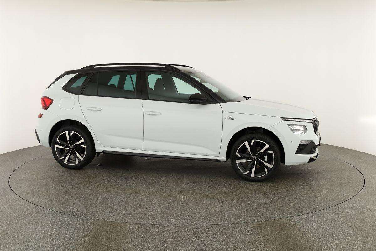 Fahrzeugbild eines Skoda Kamiq