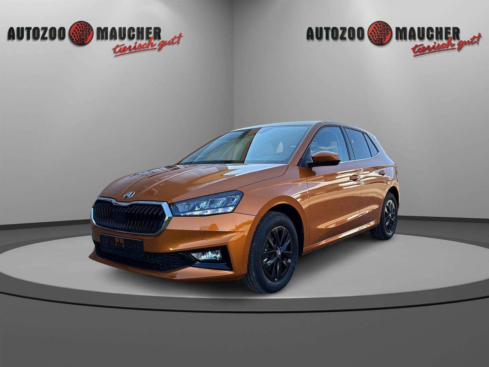 Fahrzeugbild eines Skoda Fabia