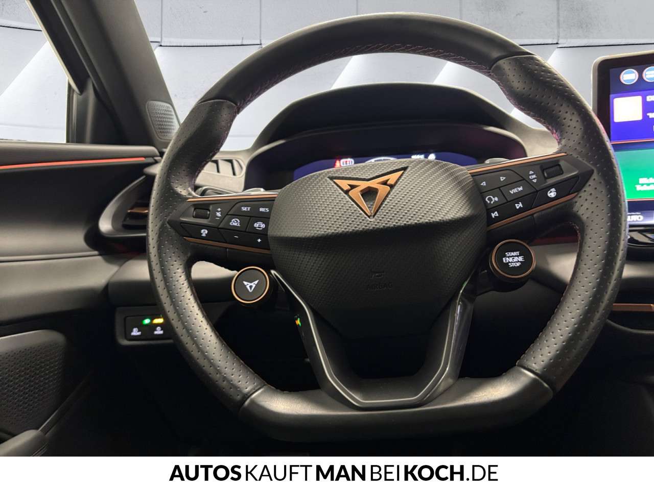 Fahrzeugbild eines CUPRA Terramar