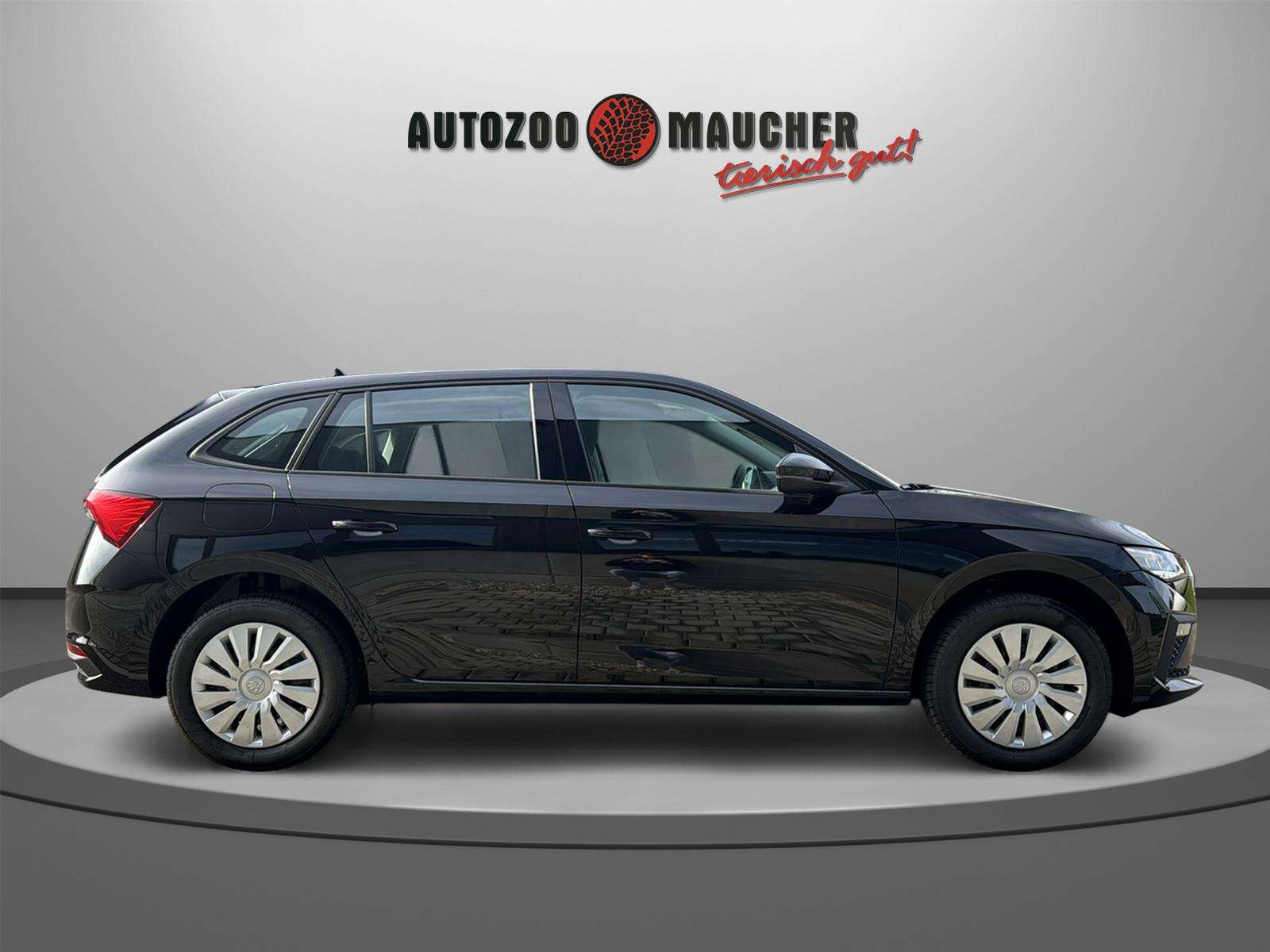 Fahrzeugbild eines Skoda Scala