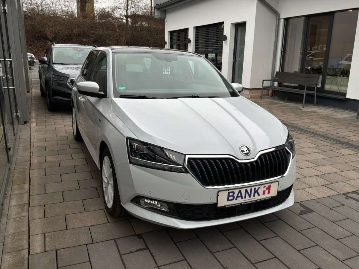 Fahrzeugbild eines Skoda Fabia