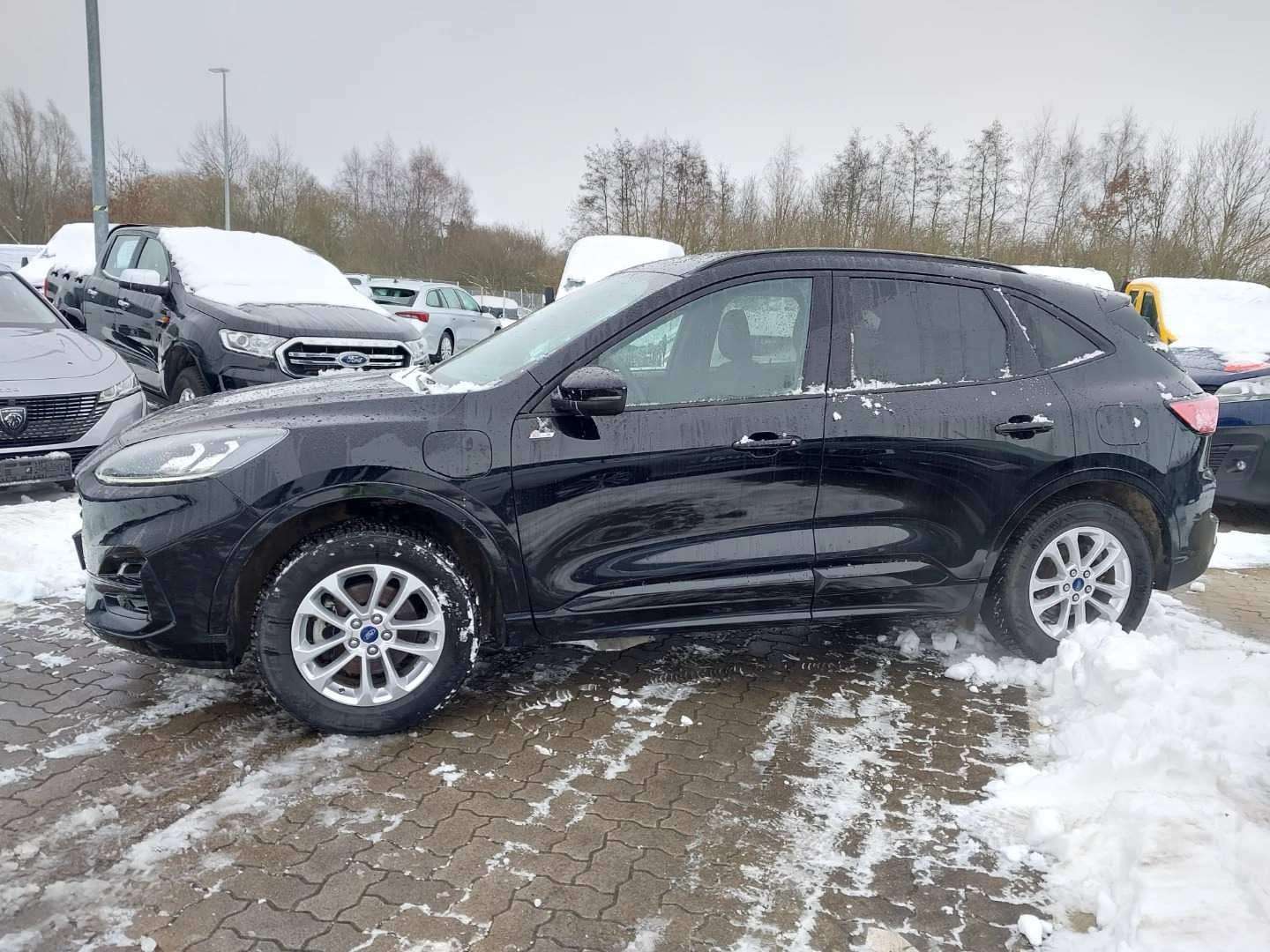 Fahrzeugbild eines Ford Kuga