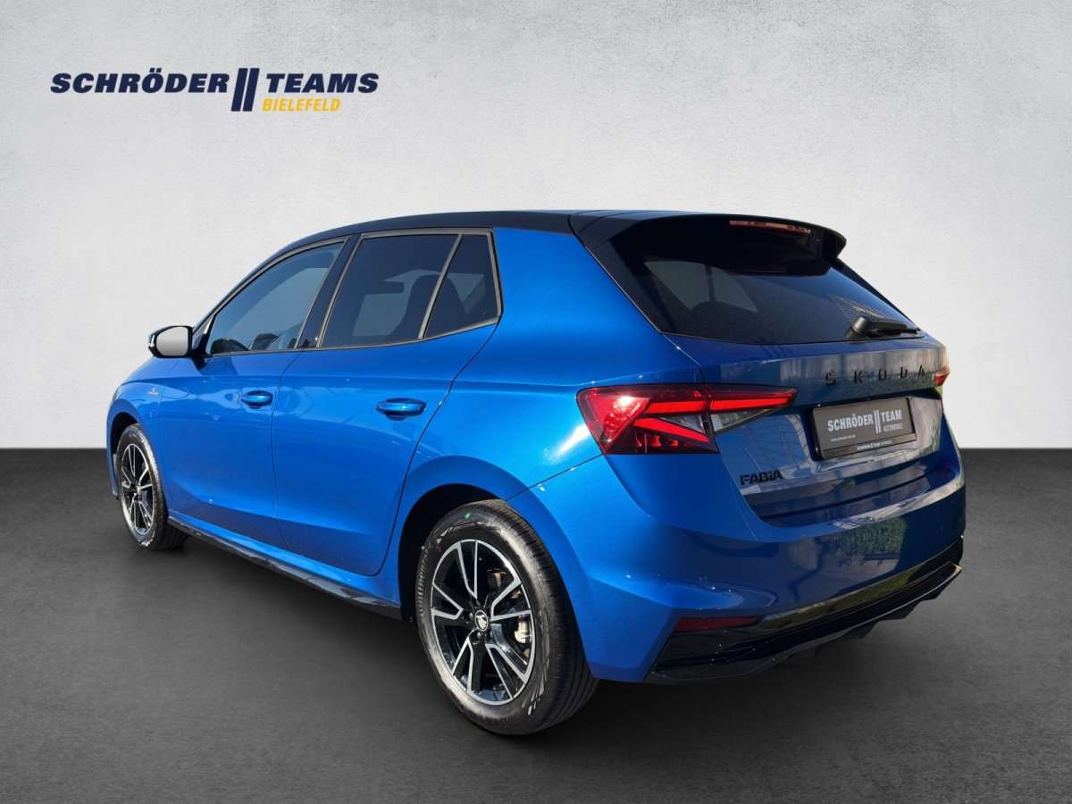 Fahrzeugbild eines Skoda Fabia