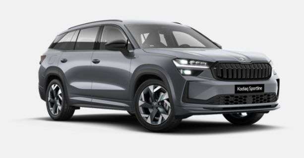 Fahrzeugbild eines Skoda Kodiaq
