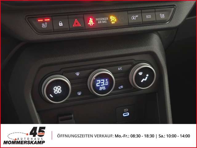 Fahrzeugbild eines Dacia Sandero