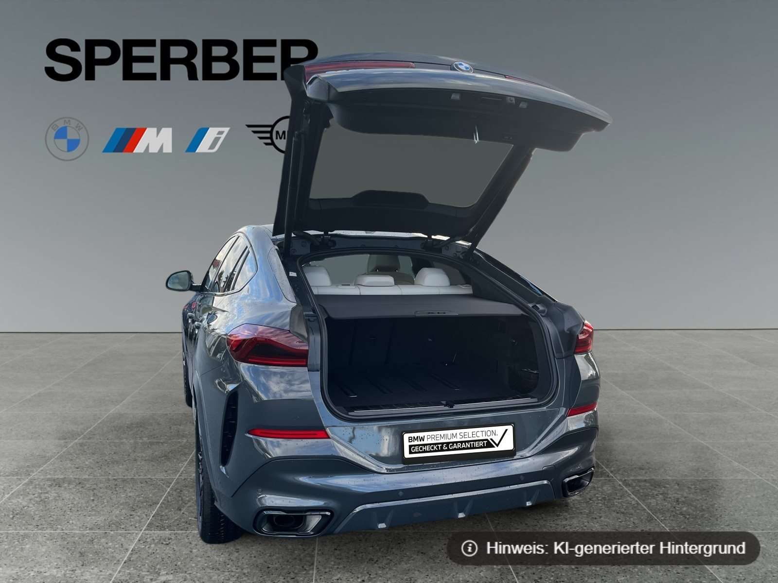 Fahrzeugbild eines BMW X6