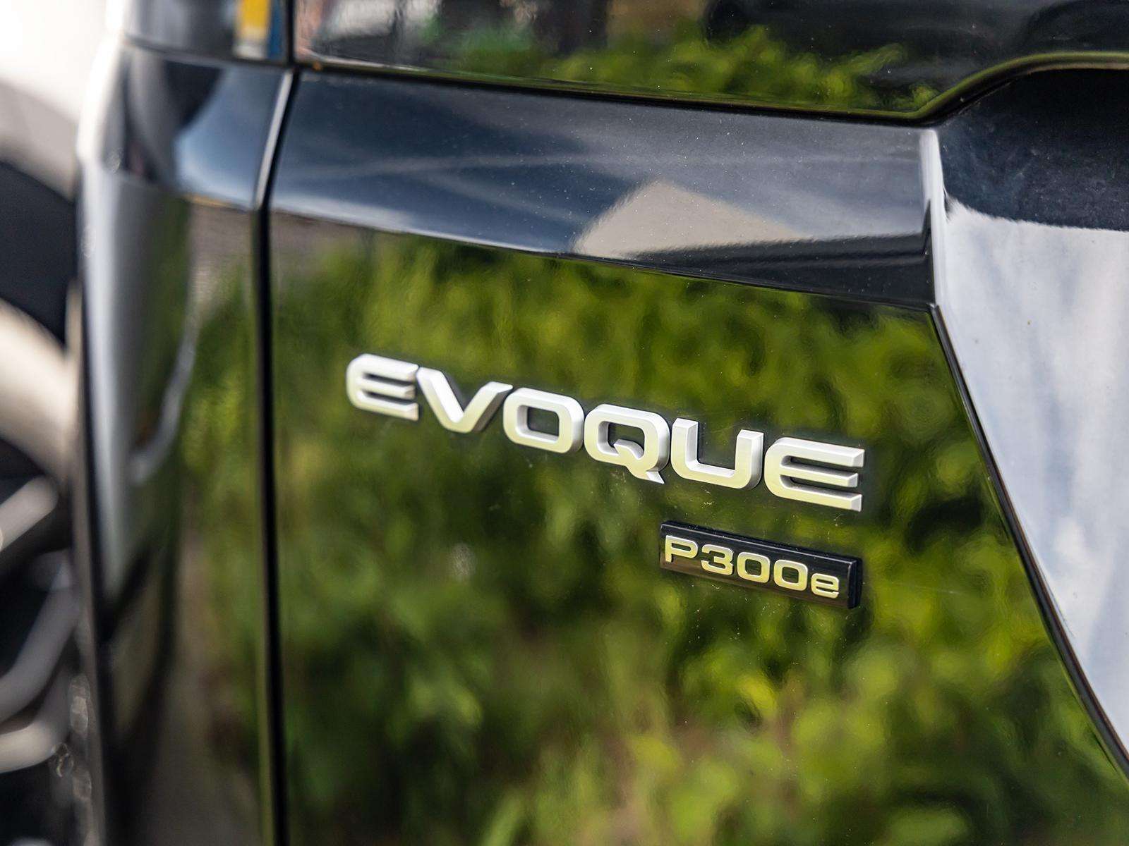 Fahrzeugbild eines Land Rover Range Rover Evoque