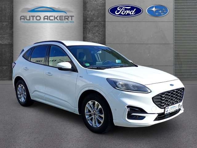Fahrzeugbild eines Ford Kuga