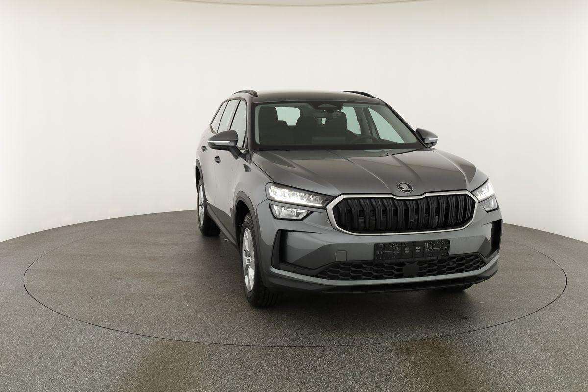 Fahrzeugbild eines Skoda Kodiaq