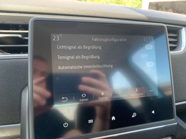Fahrzeugbild eines Renault ZOE