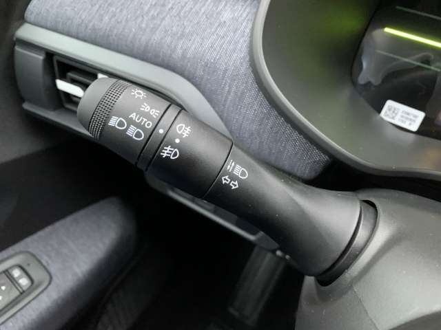 Fahrzeugbild eines Dacia Sandero