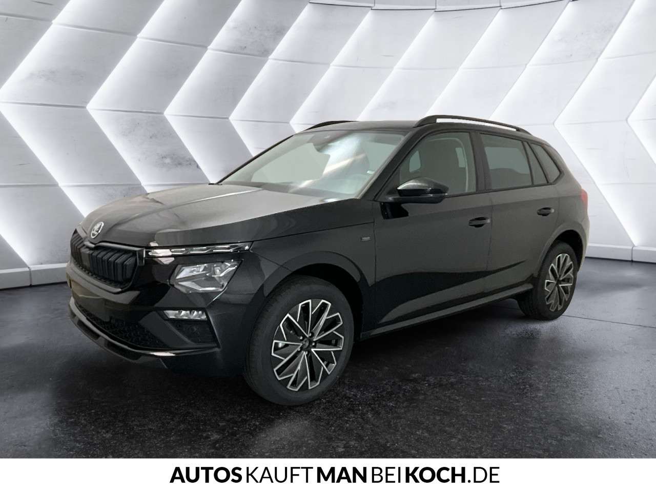 Fahrzeugbild eines Skoda Kamiq