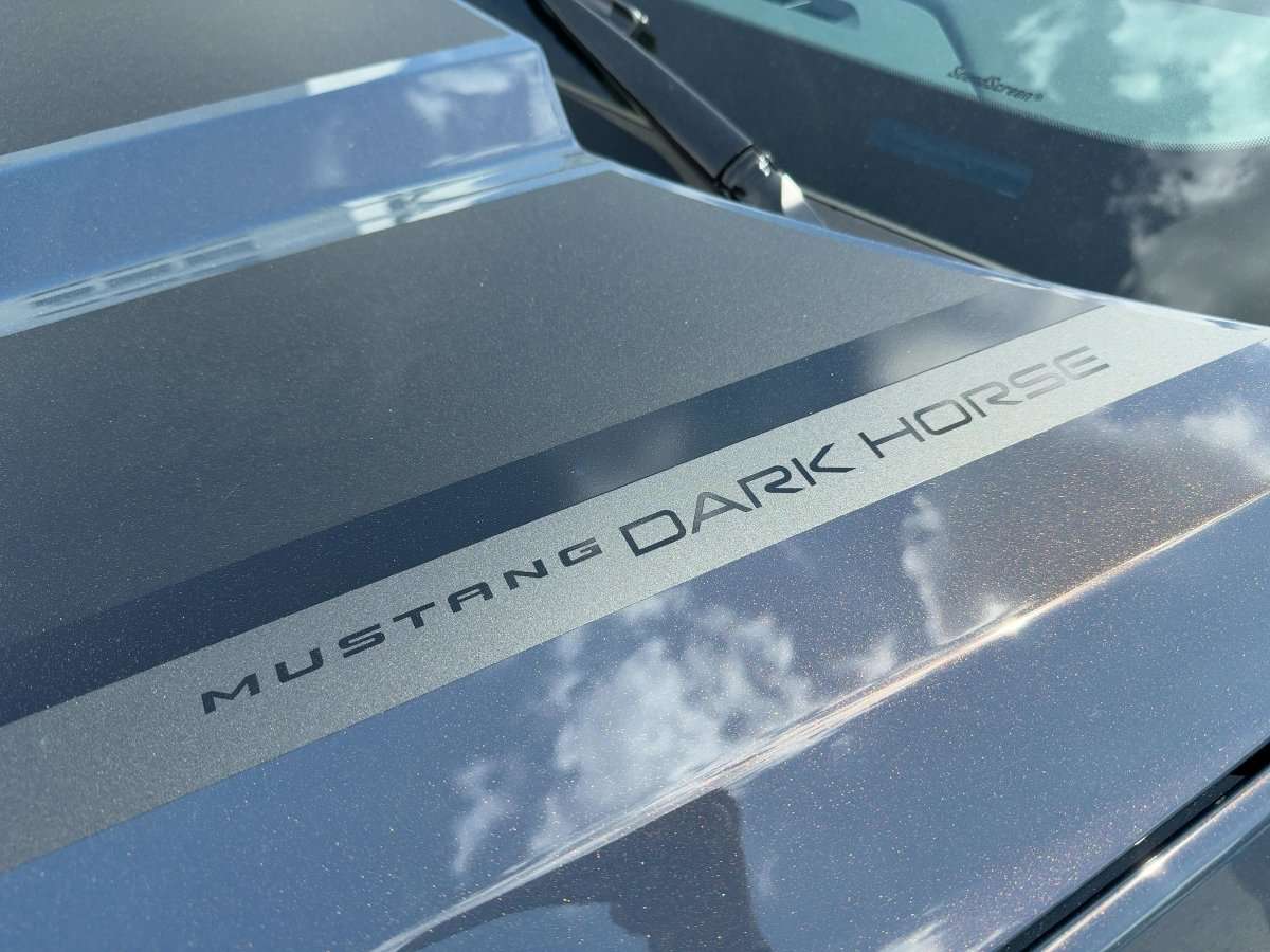Fahrzeugbild eines Ford Mustang