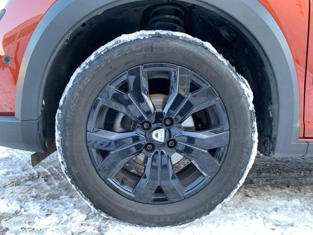 Fahrzeugbild eines Dacia Jogger