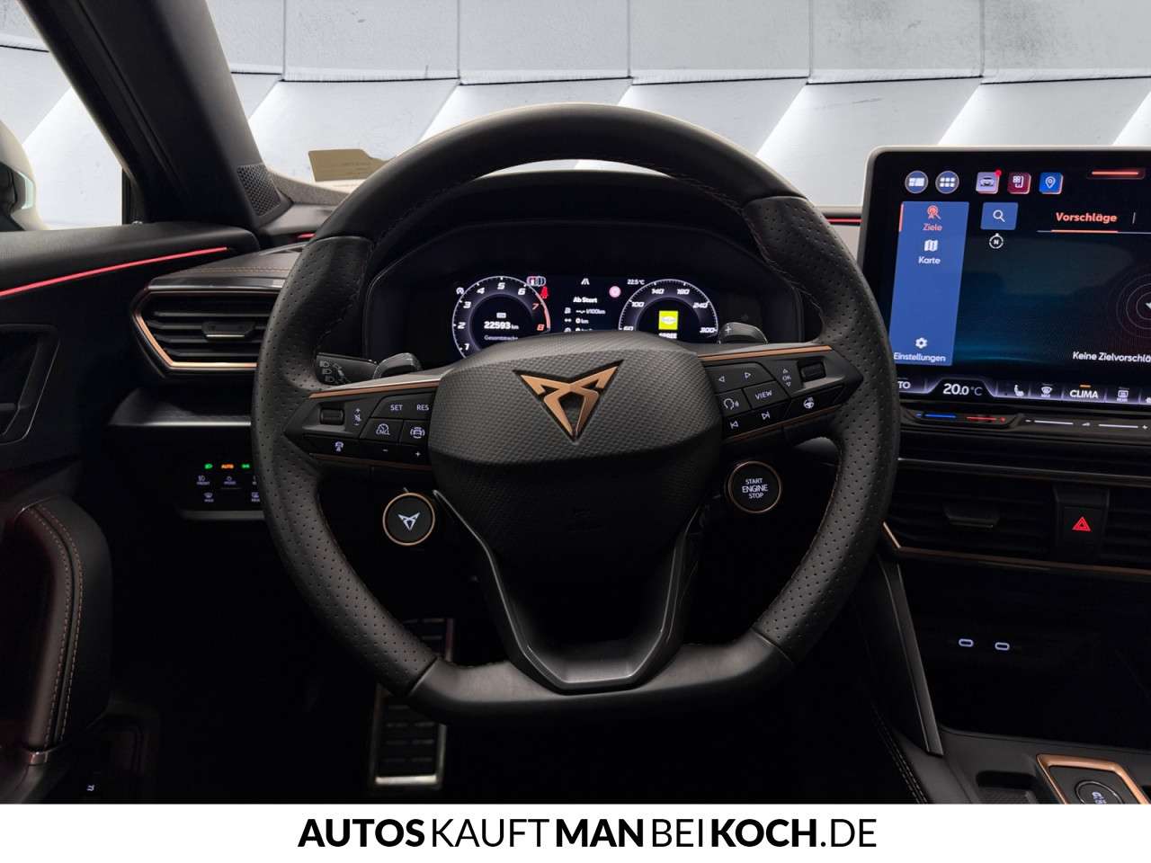 Fahrzeugbild eines CUPRA Formentor