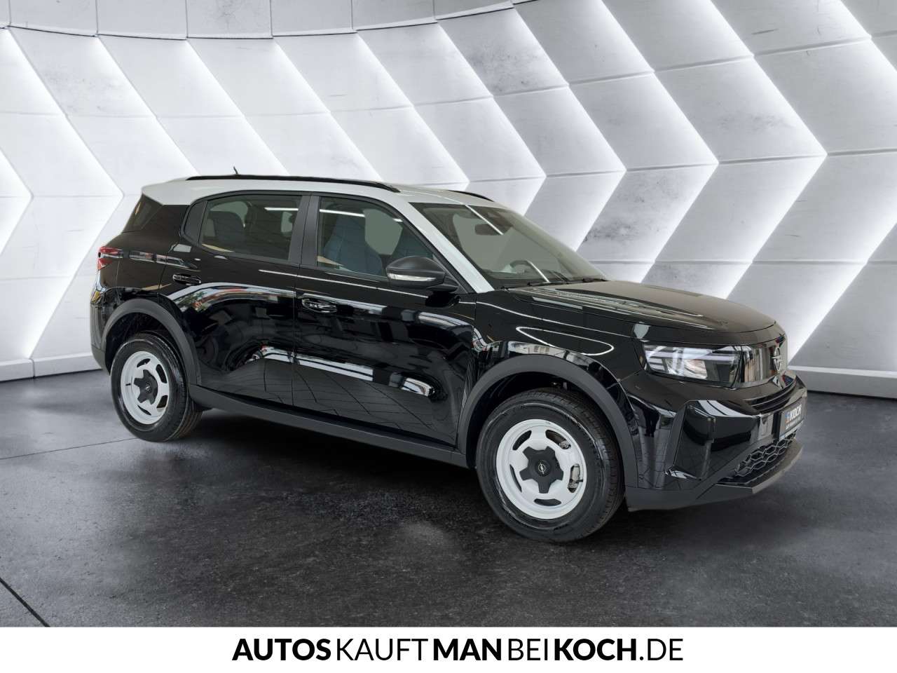 Fahrzeugbild eines Opel Frontera