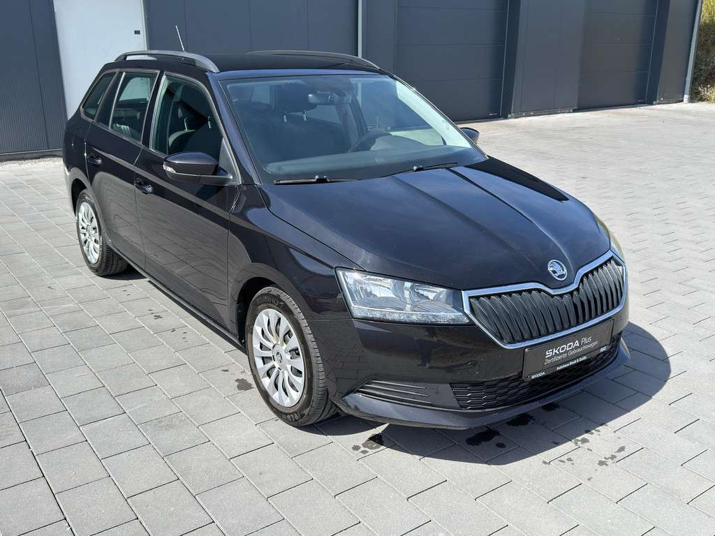 Fahrzeugbild eines Skoda Fabia