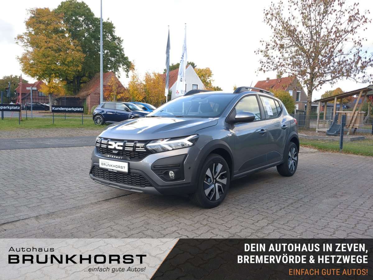 Fahrzeugbild eines Dacia Sandero