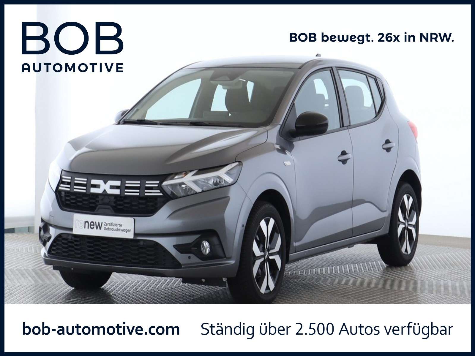 Fahrzeugbild eines Dacia Sandero