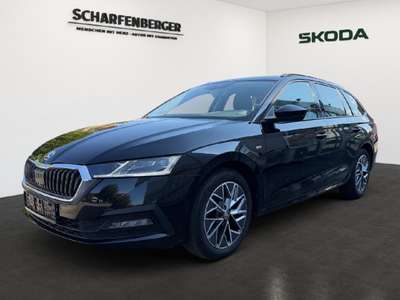 Bild Skoda Octavia