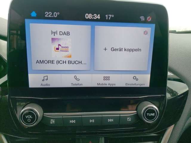 Fahrzeugbild eines Ford Fiesta