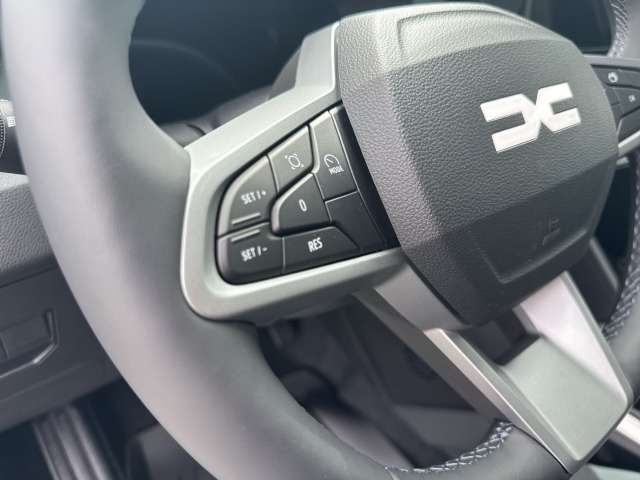 Fahrzeugbild eines Dacia Bigster