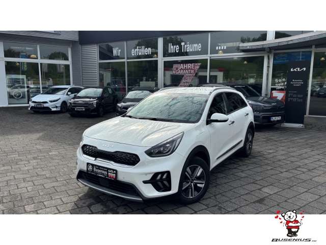 Fahrzeugbild eines Kia Niro