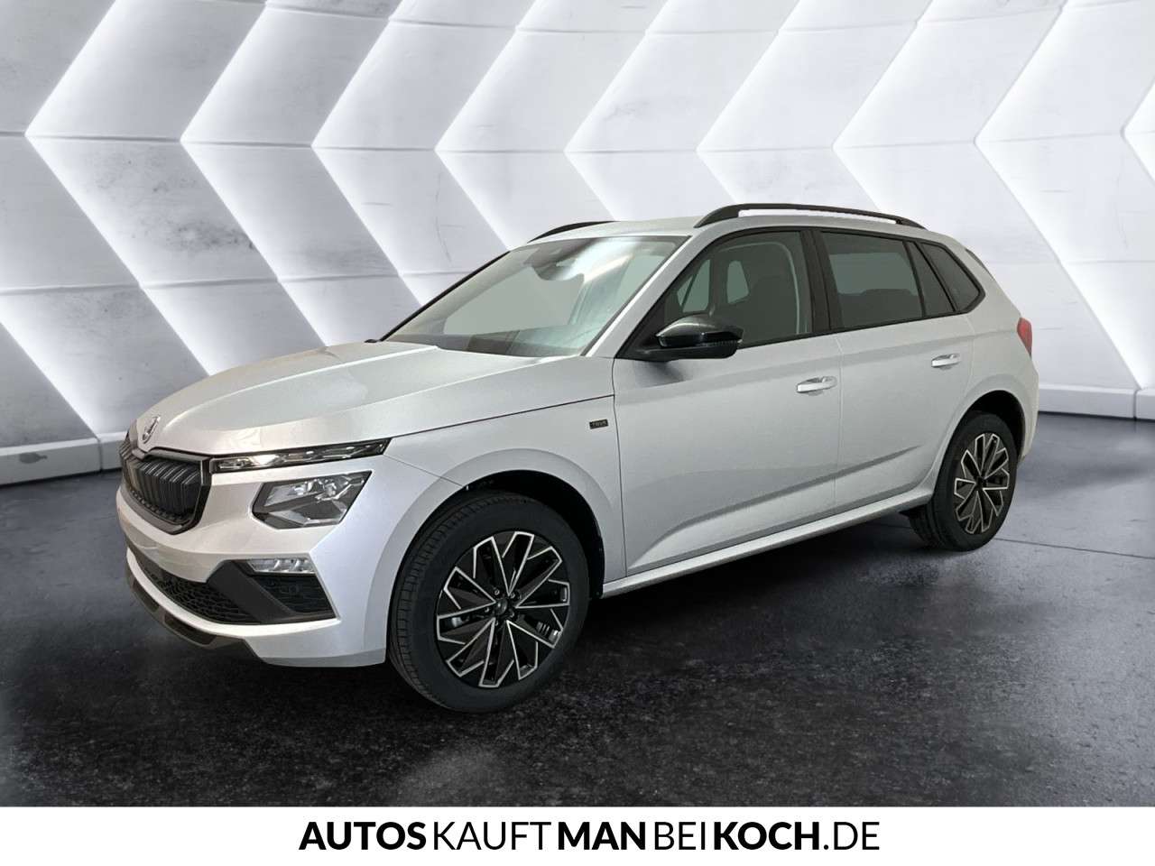 Fahrzeugbild eines Skoda Kamiq